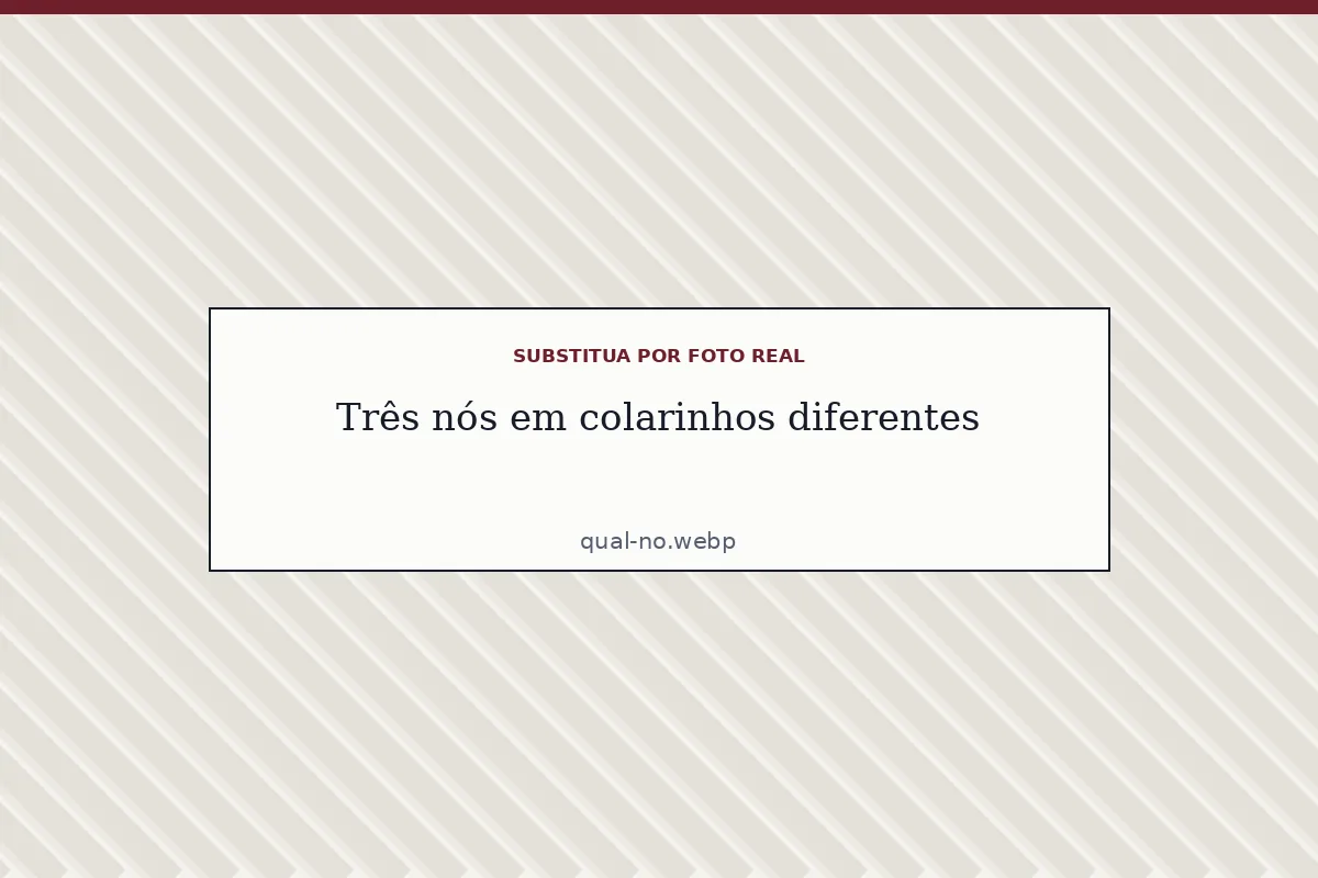Três nós de gravata em colarinhos diferentes